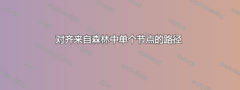 对齐来自森林中单个节点的路径