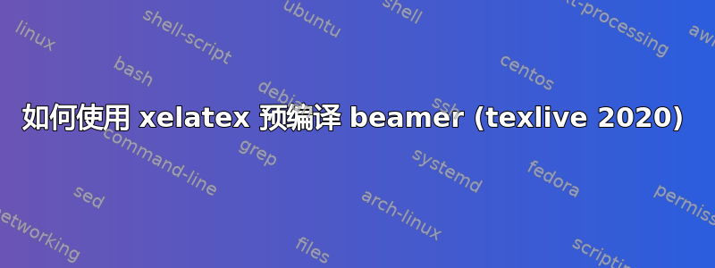 如何使用 xelatex 预编译 beamer (texlive 2020)