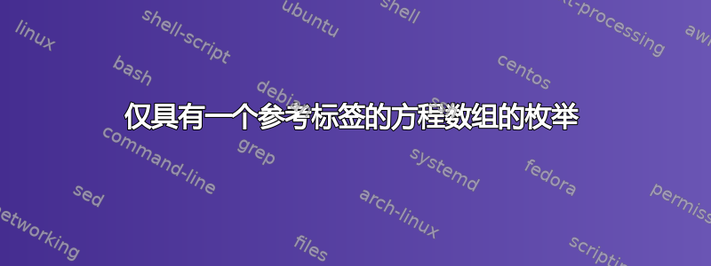 仅具有一个参考标签的方程数组的枚举