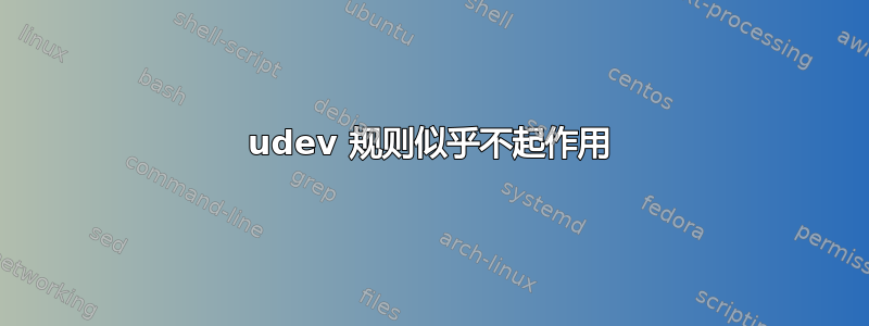 udev 规则似乎不起作用