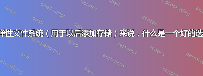 对于弹性文件系统（用于以后添加存储）来说，什么是一个好的选择？