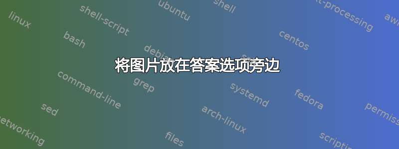 将图片放在答案选项旁边