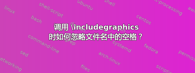 调用 \includegraphics 时如何忽略文件名中的空格？