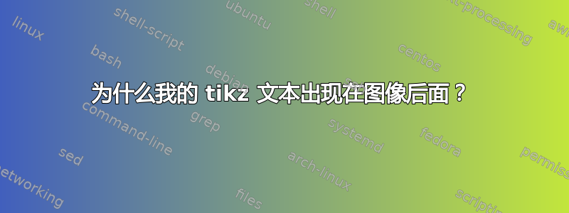 为什么我的 tikz 文本出现在图像后面？