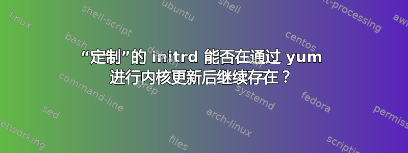 “定制”的 initrd 能否在通过 yum 进行内核更新后继续存在？