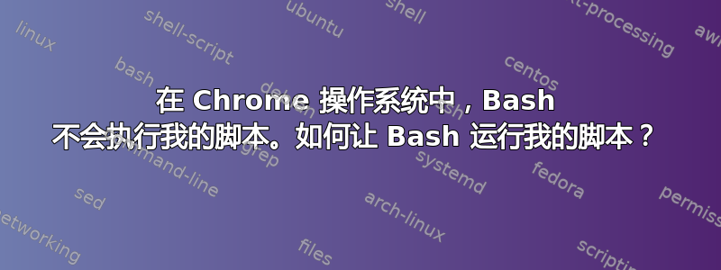 在 Chrome 操作系统中，Bash 不会执行我的脚本。如何让 Bash 运行我的脚本？