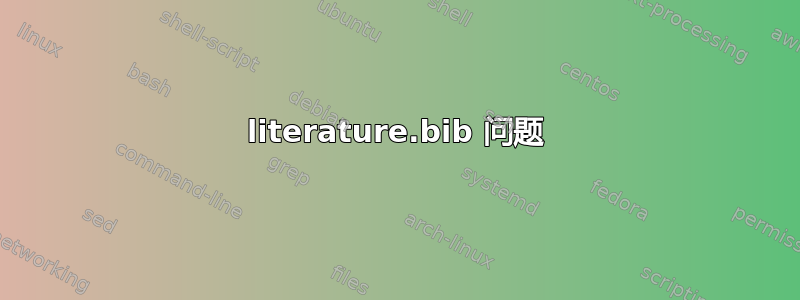 literature.bib 问题