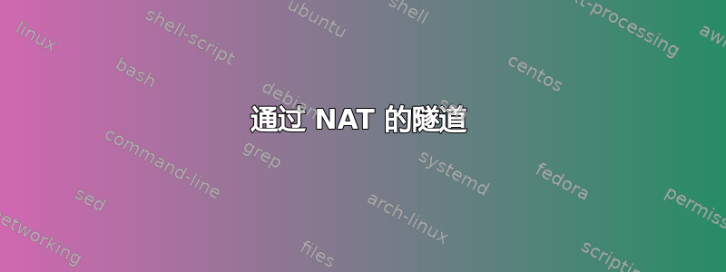 通过 NAT 的隧道