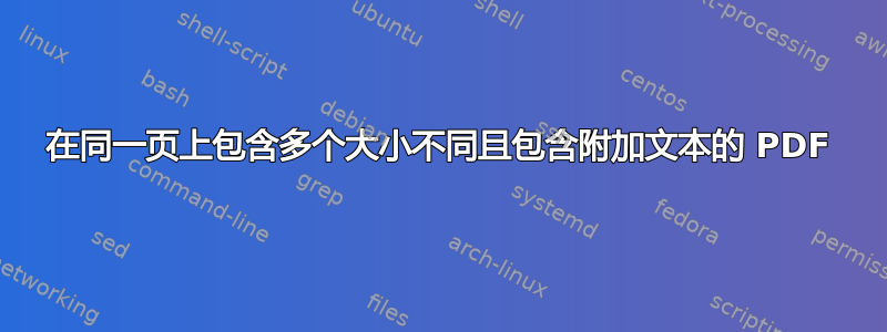 在同一页上包含多个大小不同且包含附加文本的 PDF