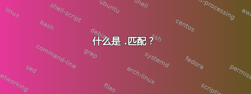 什么是 .匹配？