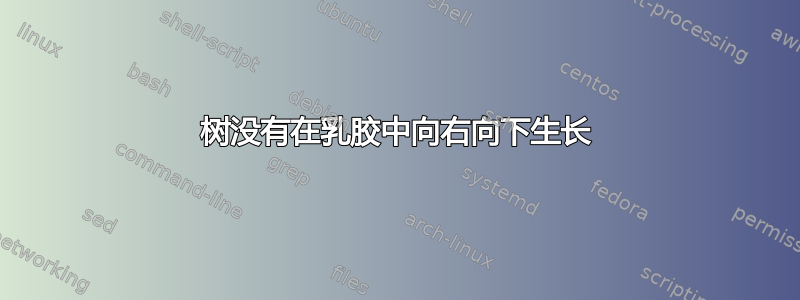 树没有在乳胶中向右向下生长