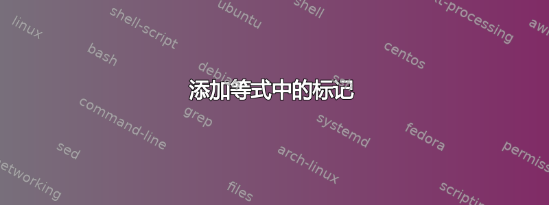 添加等式中的标记