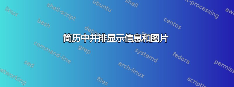 简历中并排显示信息和图片