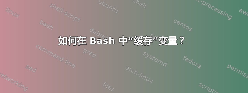 如何在 Bash 中“缓存”变量？