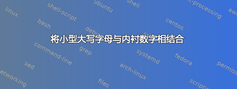 将小型大写字母与内衬数字相结合