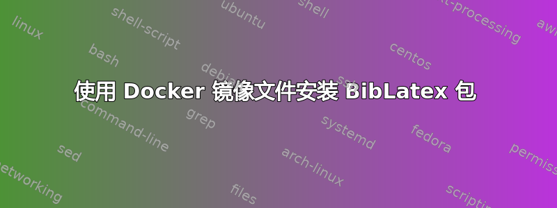 使用 Docker 镜像文件安装 BibLatex 包