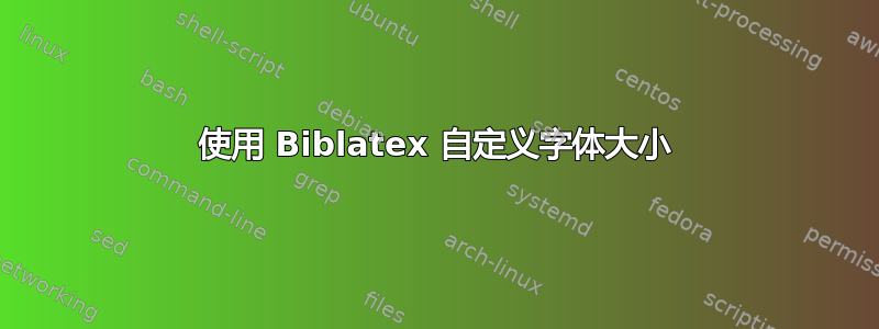 使用 Biblatex 自定义字体大小