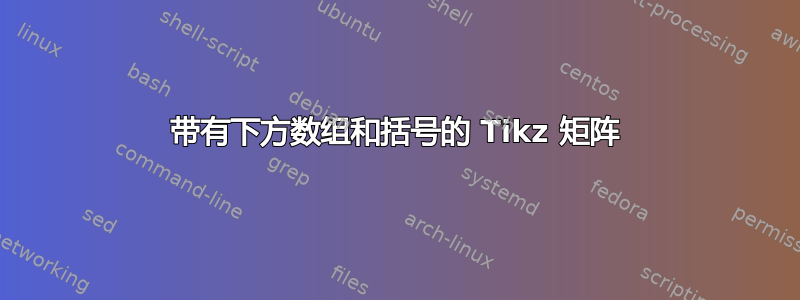 带有下方数组和括号的 Tikz 矩阵