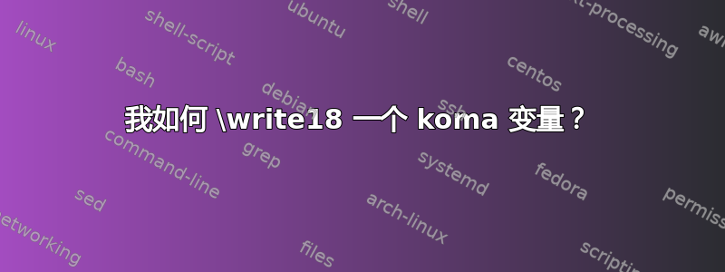 我如何 \write18 一个 koma 变量？