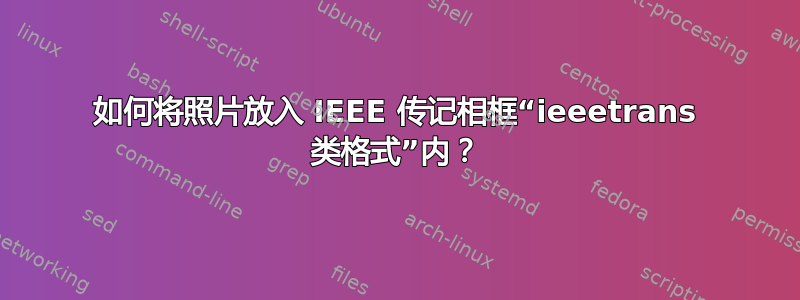 如何将照片放入 IEEE 传记相框“ieeetrans 类格式”内？