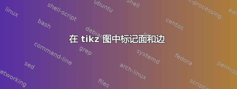 在 tikz 图中标记面和边