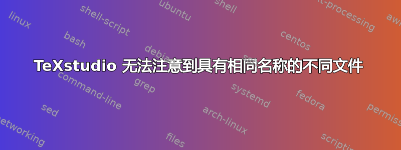 TeXstudio 无法注意到具有相同名称的不同文件