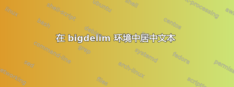 在 bigdelim 环境中居中文本