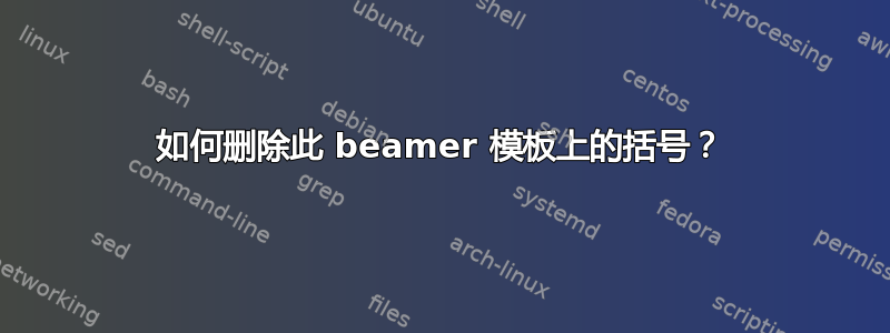 如何删除此 beamer 模板上的括号？