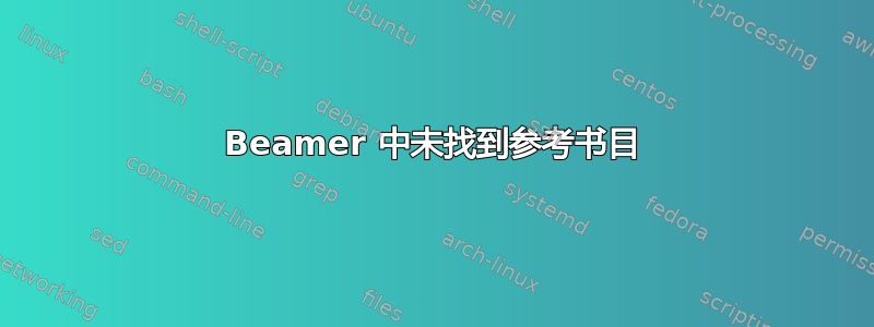 Beamer 中未找到参考书目