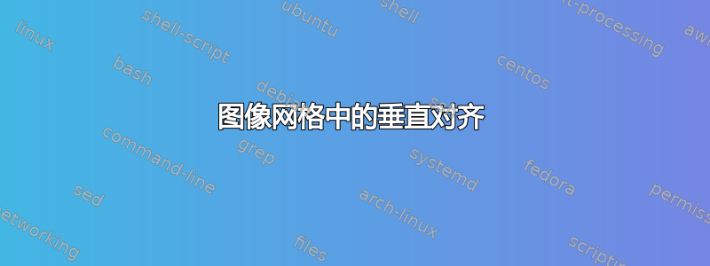 图像网格中的垂直对齐