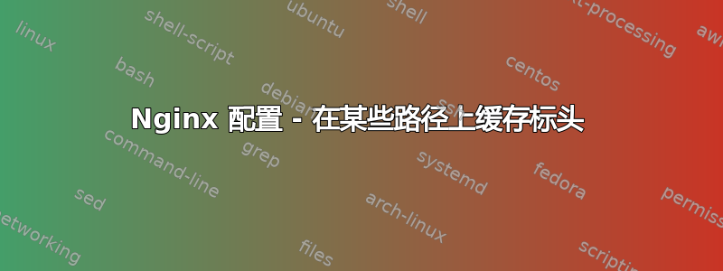 Nginx 配置 - 在某些路径上缓存标头