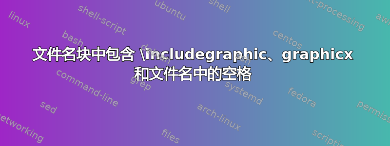 文件名块中包含 \includegraphic、graphicx 和文件名中的空格