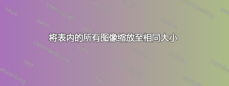 将表内的所有图像缩放至相同大小