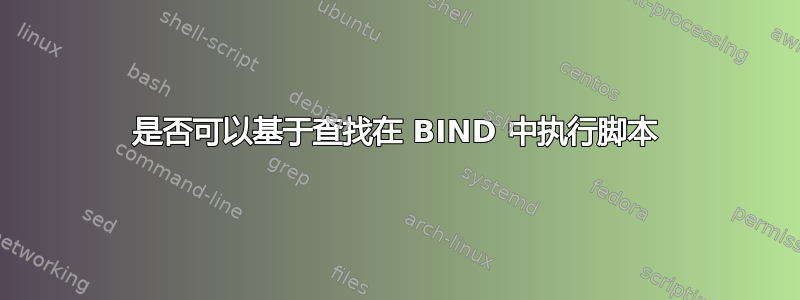 是否可以基于查找在 BIND 中执行脚本