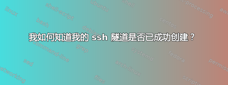 我如何知道我的 ssh 隧道是否已成功创建？