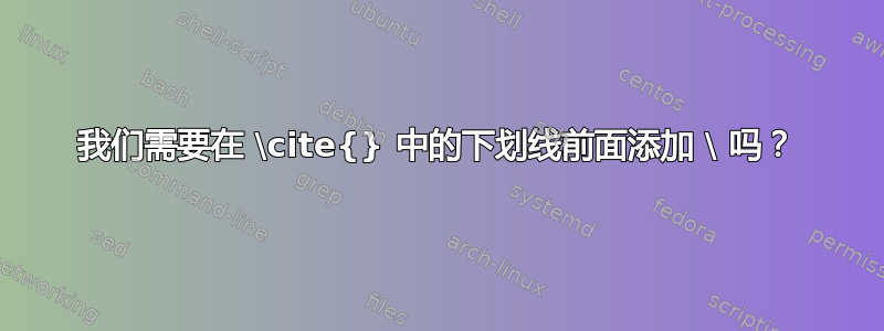 我们需要在 \cite{} 中的下划线前面添加 \ 吗？