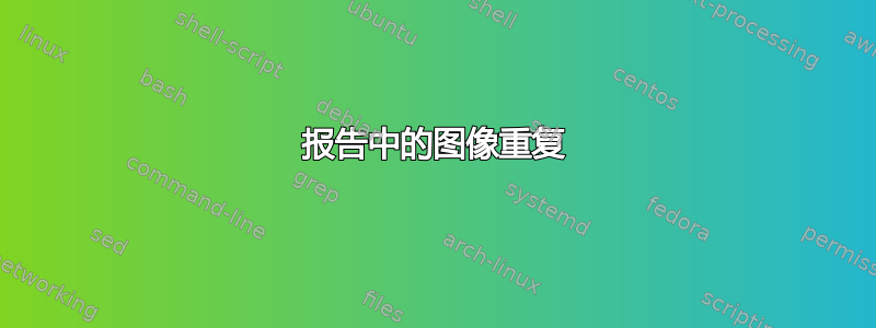 报告中的图像重复