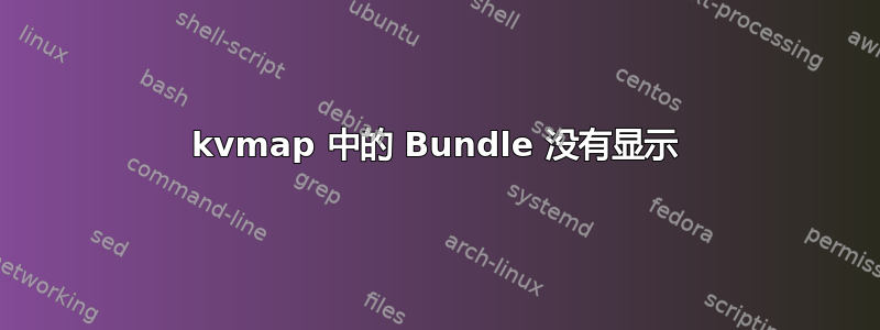 kvmap 中的 Bundle 没有显示