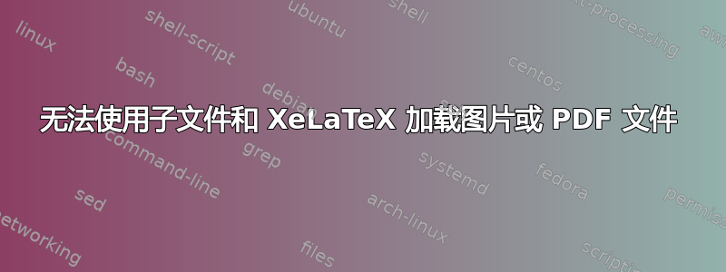 无法使用子文件和 XeLaTeX 加载图片或 PDF 文件