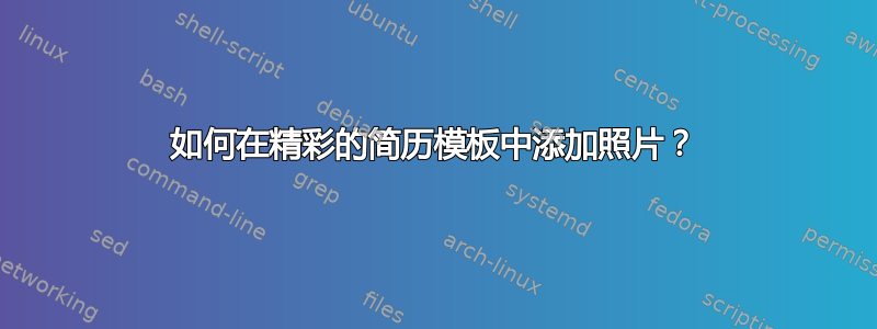 如何在精彩的简历模板中添加照片？