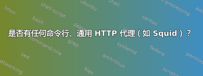 是否有任何命令行、通用 HTTP 代理（如 Squid）？