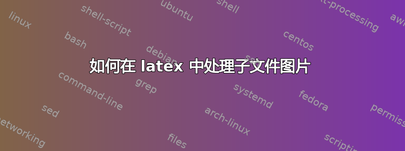 如何在 latex 中处理子文件图片