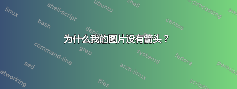 为什么我的图片没有箭头？