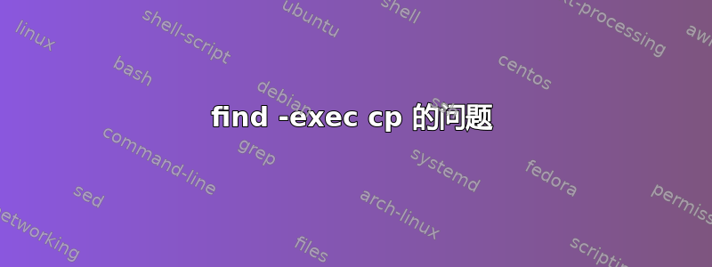 find -exec cp 的问题