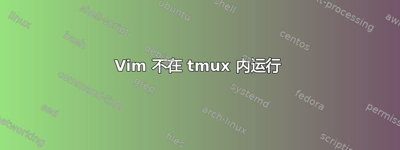 Vim 不在 tmux 内运行