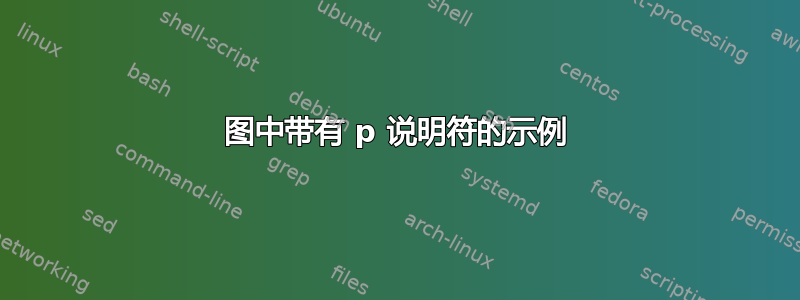 图中带有 p 说明符的示例