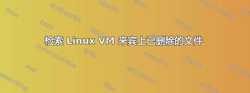 检索 Linux VM 来宾上已删除的文件