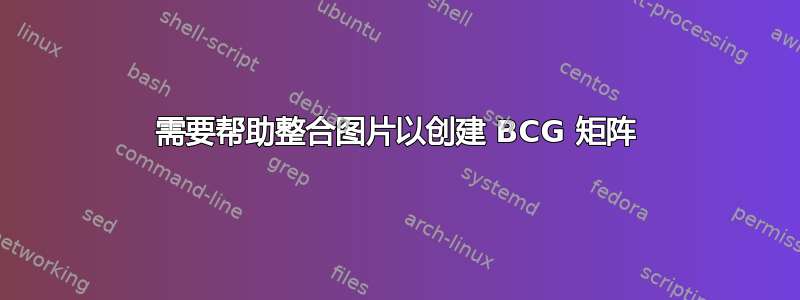 需要帮助整合图片以创建 BCG 矩阵