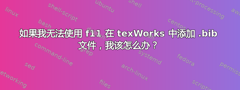 如果我无法使用 f11 在 texWorks 中添加 .bib 文件，我该怎么办？