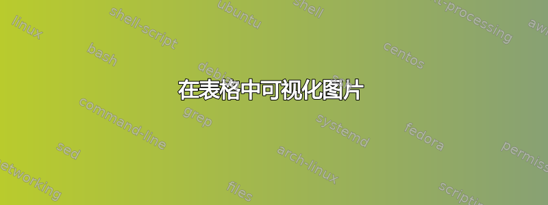 在表格中可视化图片